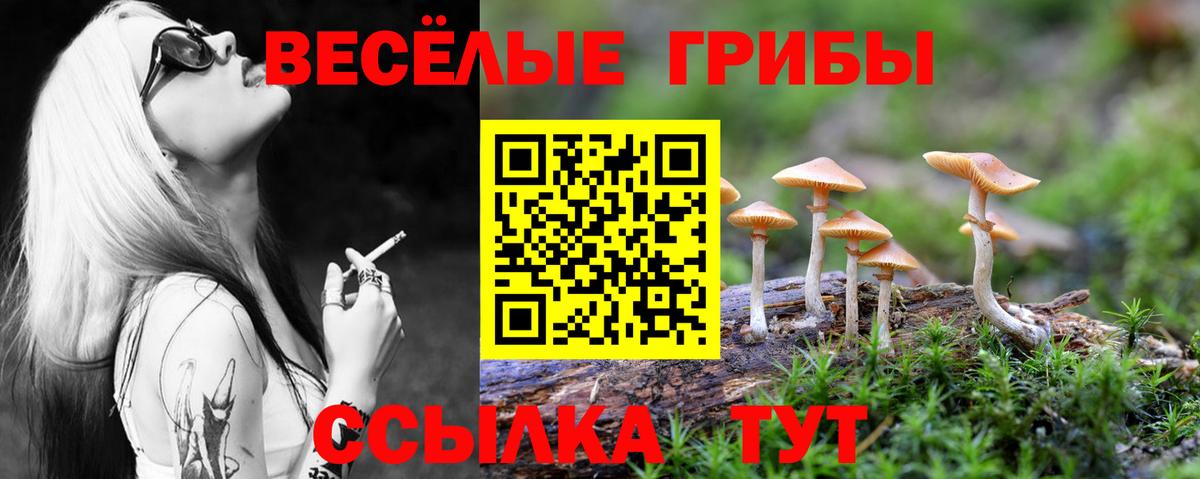 Галлюциногенные грибы Cubensis  Галлюциногенные грибы мухоморы  хочу   Вход с VPN  Морозовск 